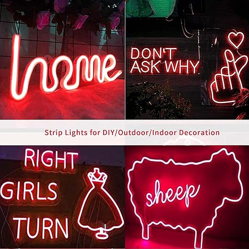 Miniatura 5 de GUPUP Luces de neón (blanco cálido), tira de luces LED de 16.4 pies, 24 V, 600 LED, flexible, impermeable, luces LED para dormitorio, sala de