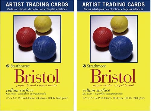 Miniatura 7 de Strathmore Serie 300 Bristol - Tarjetas de intercambio para artistas, superficie lisa, 20 hojas