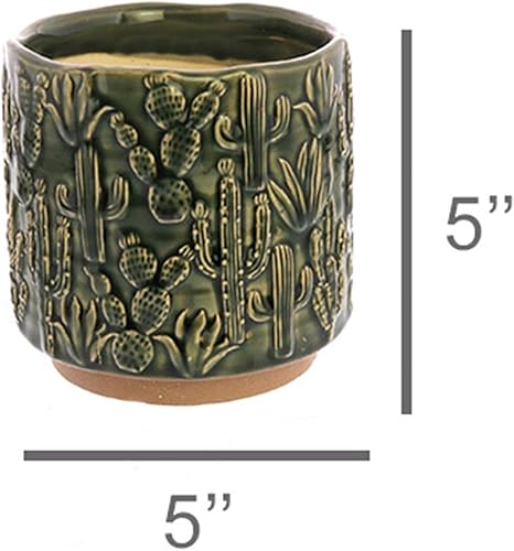 Miniatura 4 de HomArt 3744-3 - Maceta de cerámica con motivo de cactus, 5 pulgadas de altura, pequeña, verde, 5 x 5 x 5 x 5 x