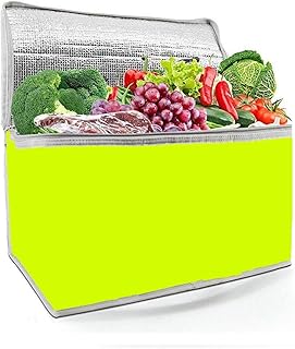 Ducomi Borsa Frigo Termica, Termos Frigorifero Portatile per Pranzo, Spiaggia, Mare, Campeggio, Medicine e Ufficio - Borsetta Portapranzo per Vivande Calde e Fredde (Yellow, 3 L)