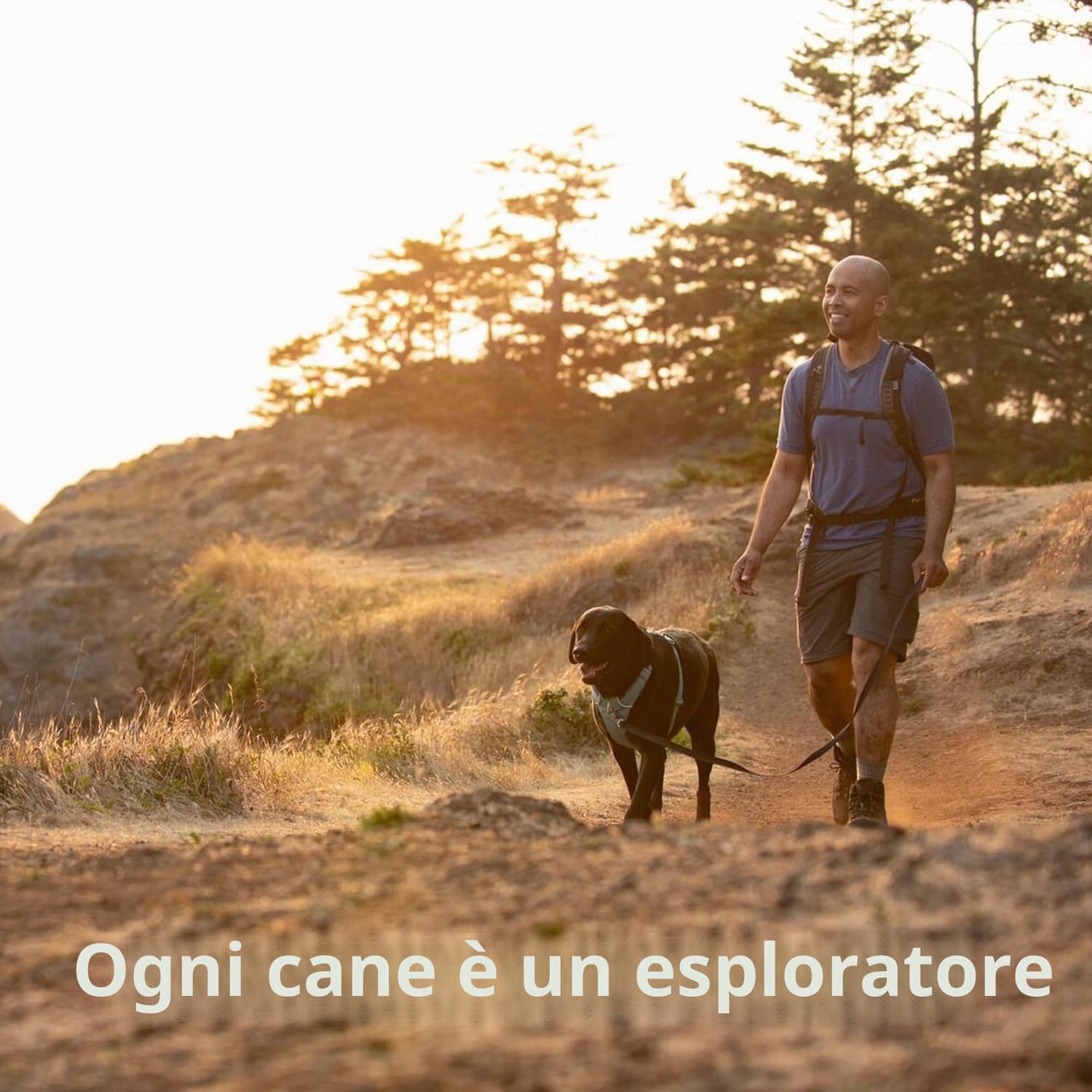 RUFFWEAR Pettorina per Cani, Front Range, Pettorina da Passeggio Imbottita Comoda Regolabile per Tutti i Giorni, 2 Attacchi per Guinzaglio, Fettuccia con Clip, Red Sumac, Large/X-Large