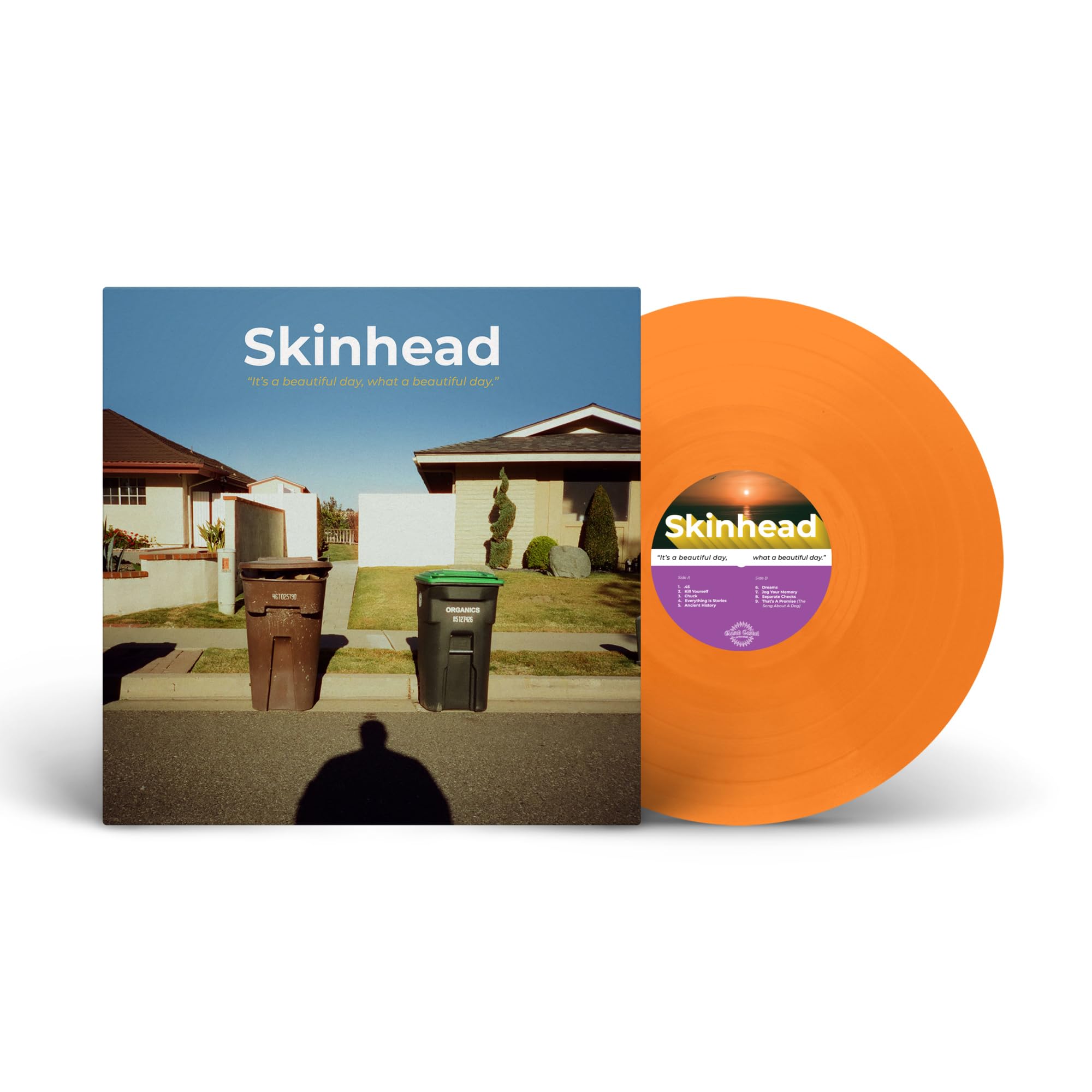 It's a Beautiful Day, What a Beautiful Day [VINYL]