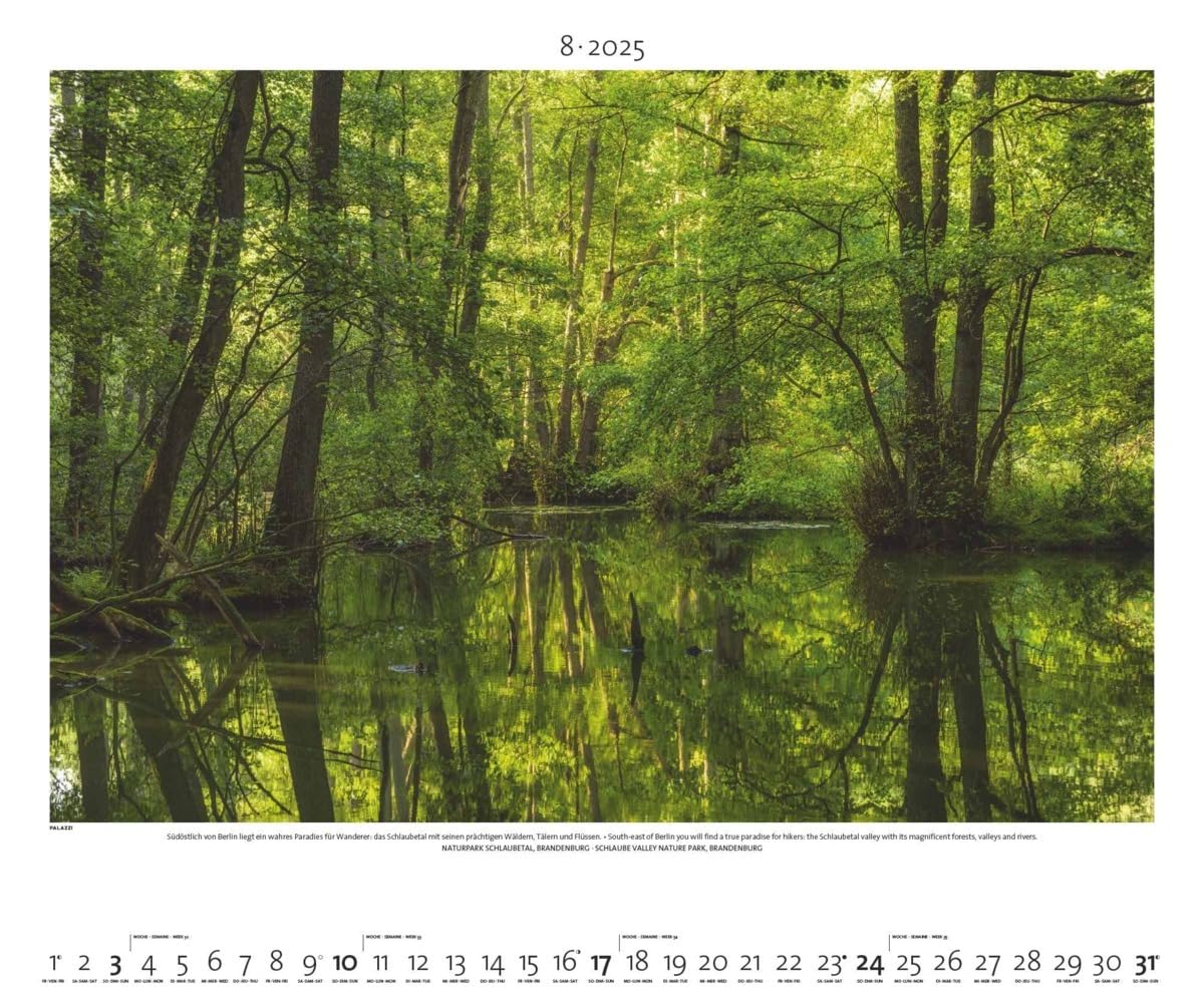 PALAZZI - Naturland Deutschland 2025 Wandkalender, 60x50cm, Posterkalender mit schönen Bildern aus Nationalsparks und Naturschutzgebieten, Felder, Wiesen und Wälder