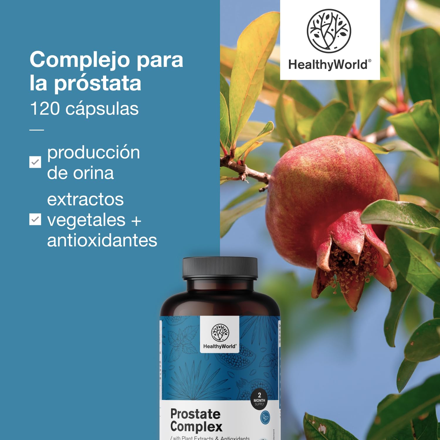 HealthyWorld complejo para la próstata - para hombres - 120 cápsulas vegetales - con semillas de calabaza, granada, ortiga, palma enana, vitamina E, zinc y selenio - apoyo a la próstata