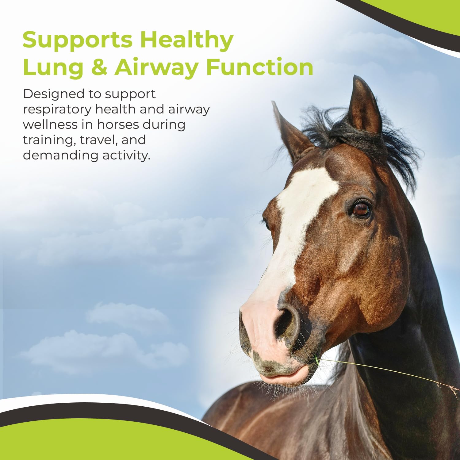 SynAir Respiratory Support for Horses 30 Doses — Amazon image 5