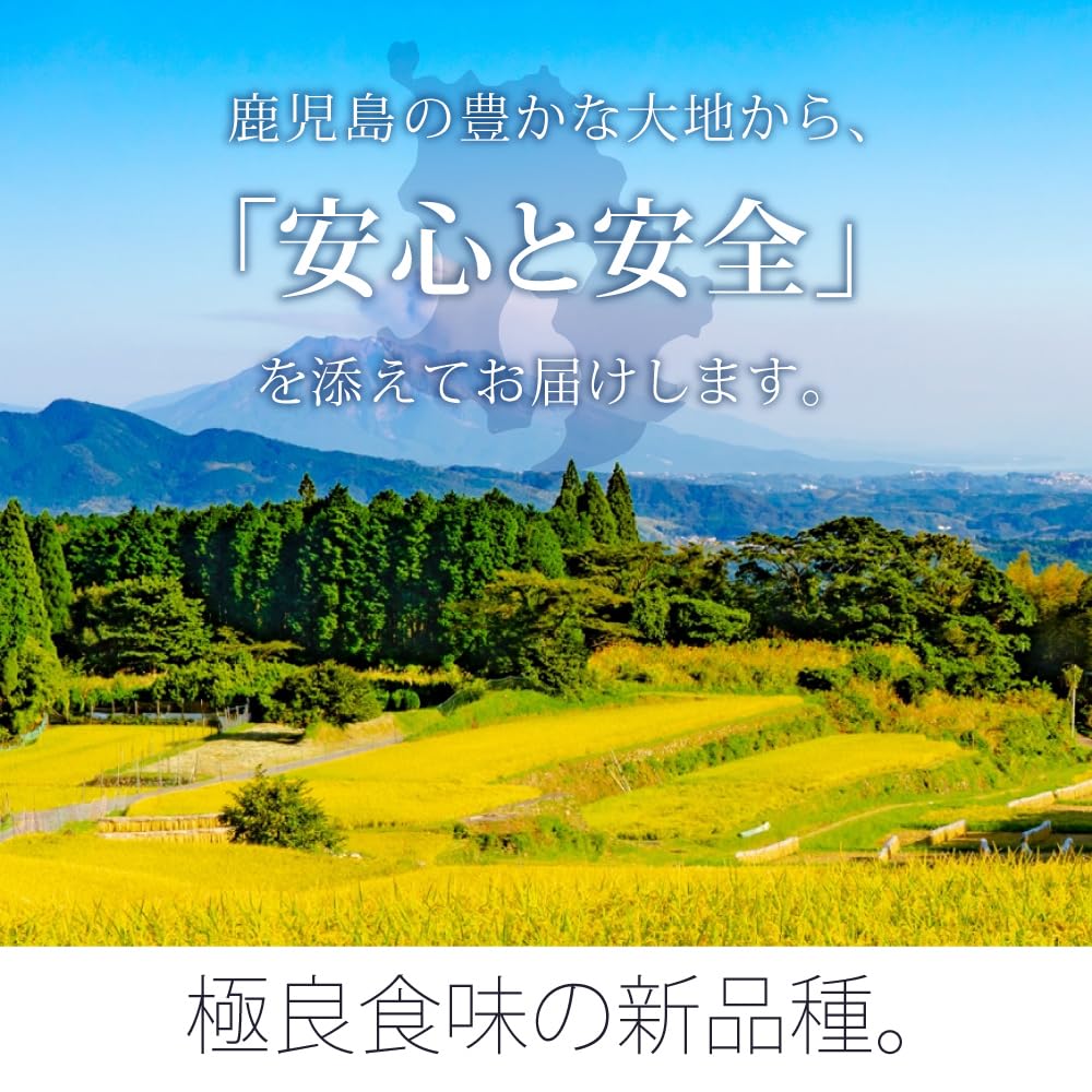 なつほのか　玄米　7年産　
30キロ なつほのか 5kg（令和7年産） | 産直市場「五島がうまい