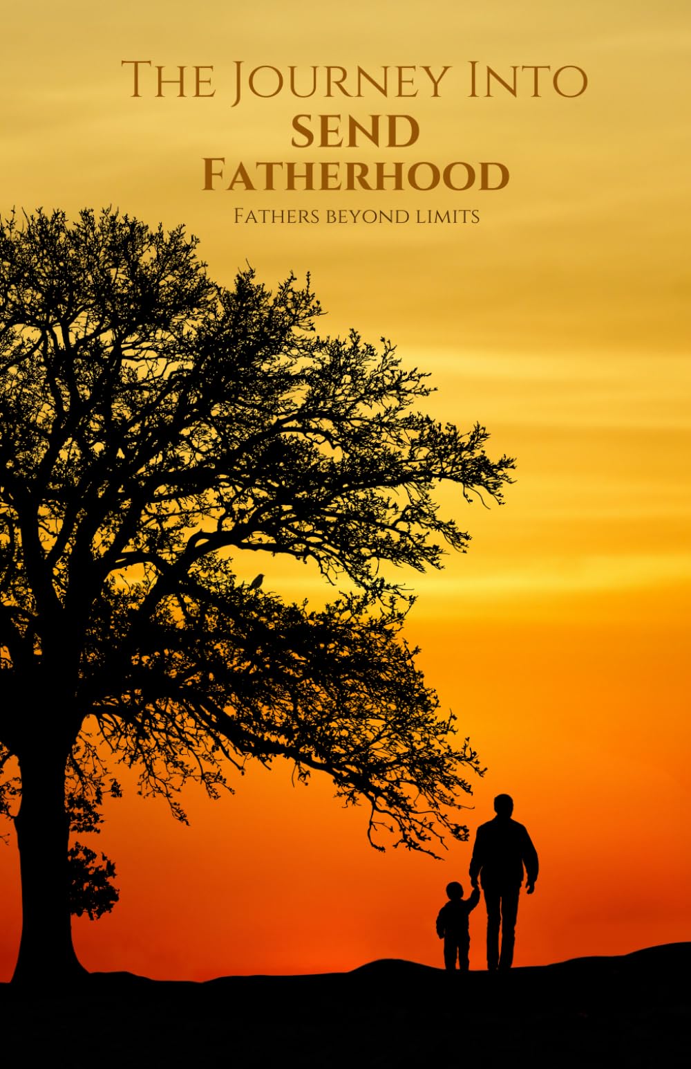 The Journey into S.E.N.D Fatherhood: Fathers Beyond Limits