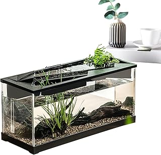 Büro-Aquarium – leises Büro-Aquarium, Set für Süßwasser mit LED | Kleines Acryl für Bettas mit LED-Beleuchtung und Wandfilter, rutschfeste Basis für Wohnzimmer
