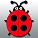 Ladybugs
