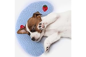 Calming Pillow for Canine: A Slumbering Haven for Your Furry Companion