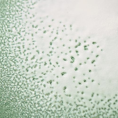 Miniatura 5 de ALFAPARF MILANO Benvoleo Glossy Express Acondicionador para cabello opaco - Cuidado del cabello limpio, vegano y sostenible - Proporciona suavidad y