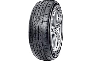 Radar Dimaxx AS-8 215/60R16 95V Performance Tire