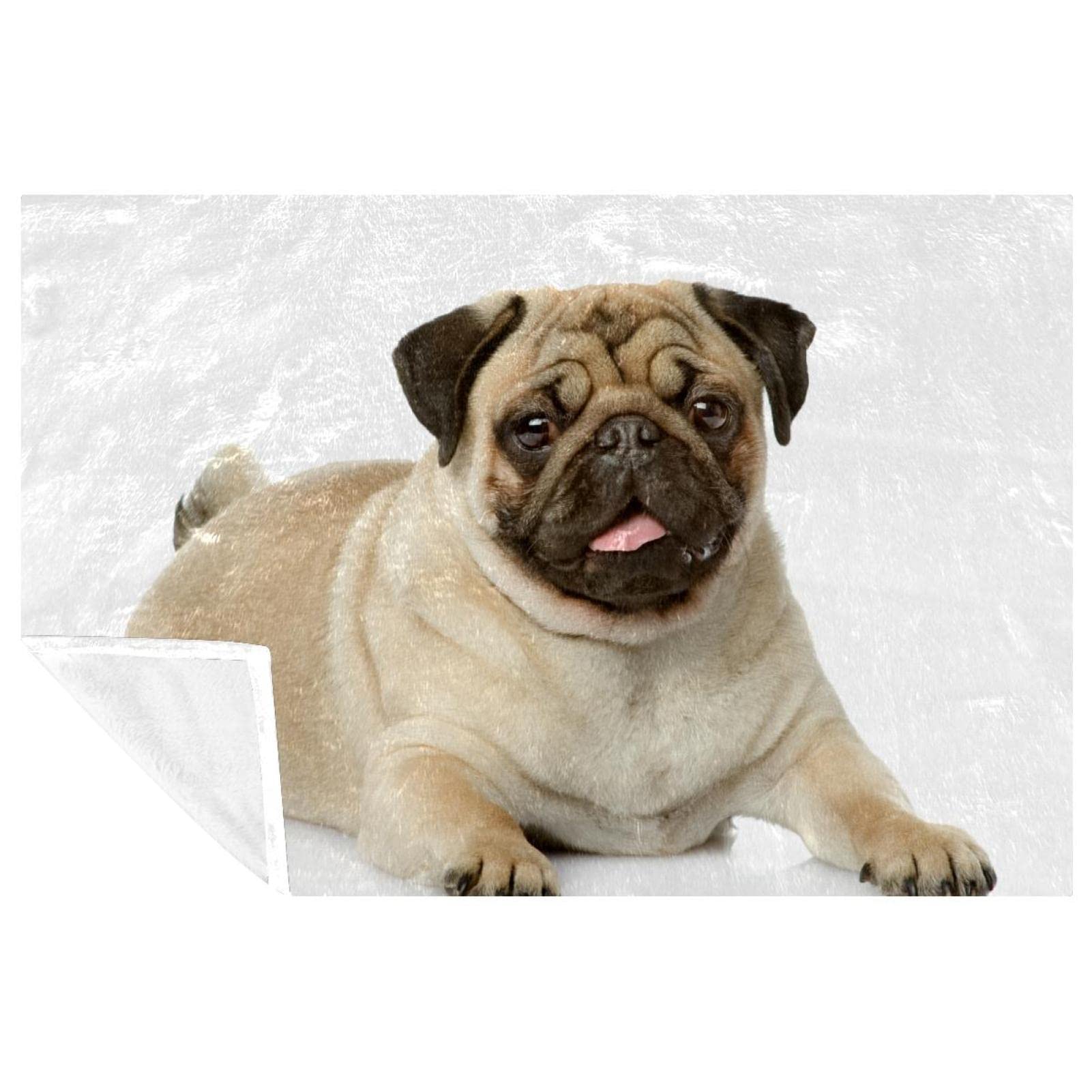 Couverture de lit motif chiot thermique de qualité supérieure