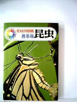ジョロウグモ (1977年) (たのしい理科教室―昆虫シリーズ) Yahoo!オークション - 【超希少】古本 ジョロウグモ カラー自然
