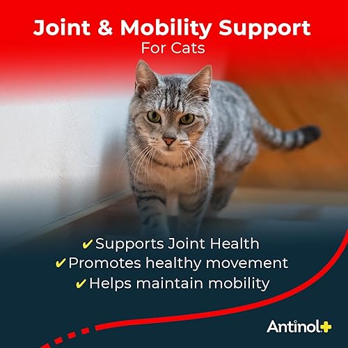 Miniatura 2 de Suplemento para la movilidad, la cadera y las articulaciones para gatos, mejillones de labios verdes y aceite de krill, suplemento para