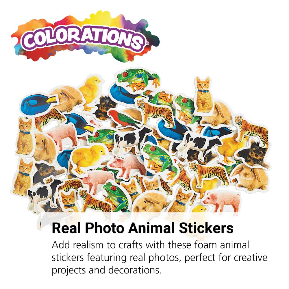 Colorations Lot de 250 autocollants en mousse avec photo d'animaux