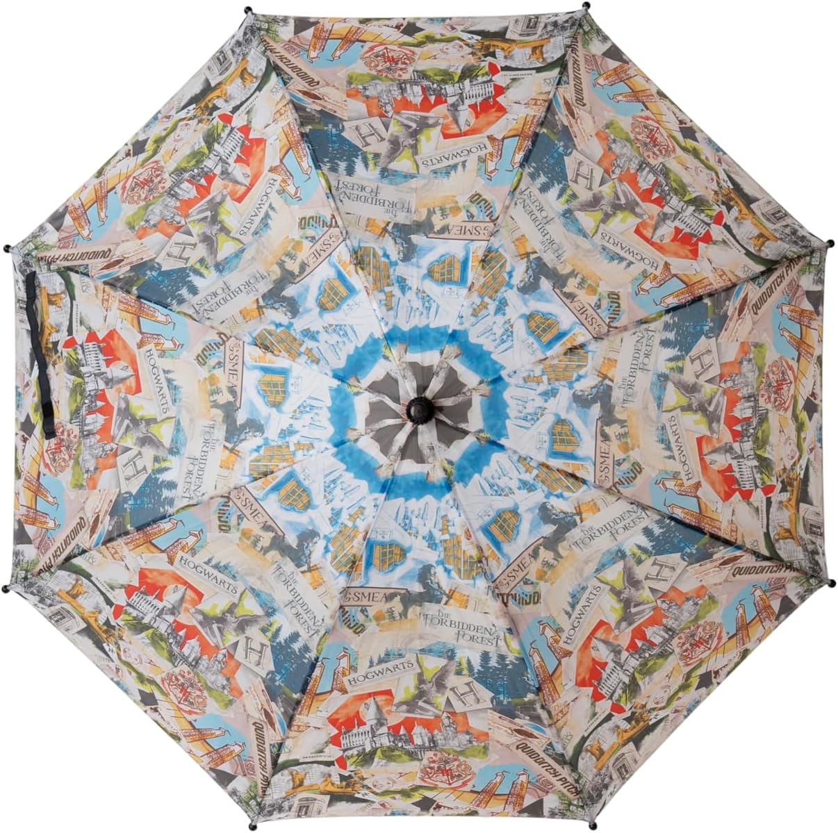 CyP Brands Harry Potter Umbrella Cadet Umbrella, 54 cm, Automatic, Multicoloured, Official Product, transparent