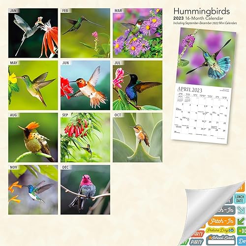 Miniatura 2 de Calendario de colibríes 2023 paquete de mini calendario de colibríes 2023 de lujo con más de 100 calcomanías de calendario regalos de colibríes
