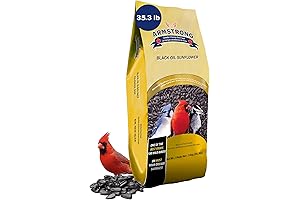 Armstrong Wild Bird Food Black Oil Sunflower Bird Seed: Feed Northern Cardinals,...