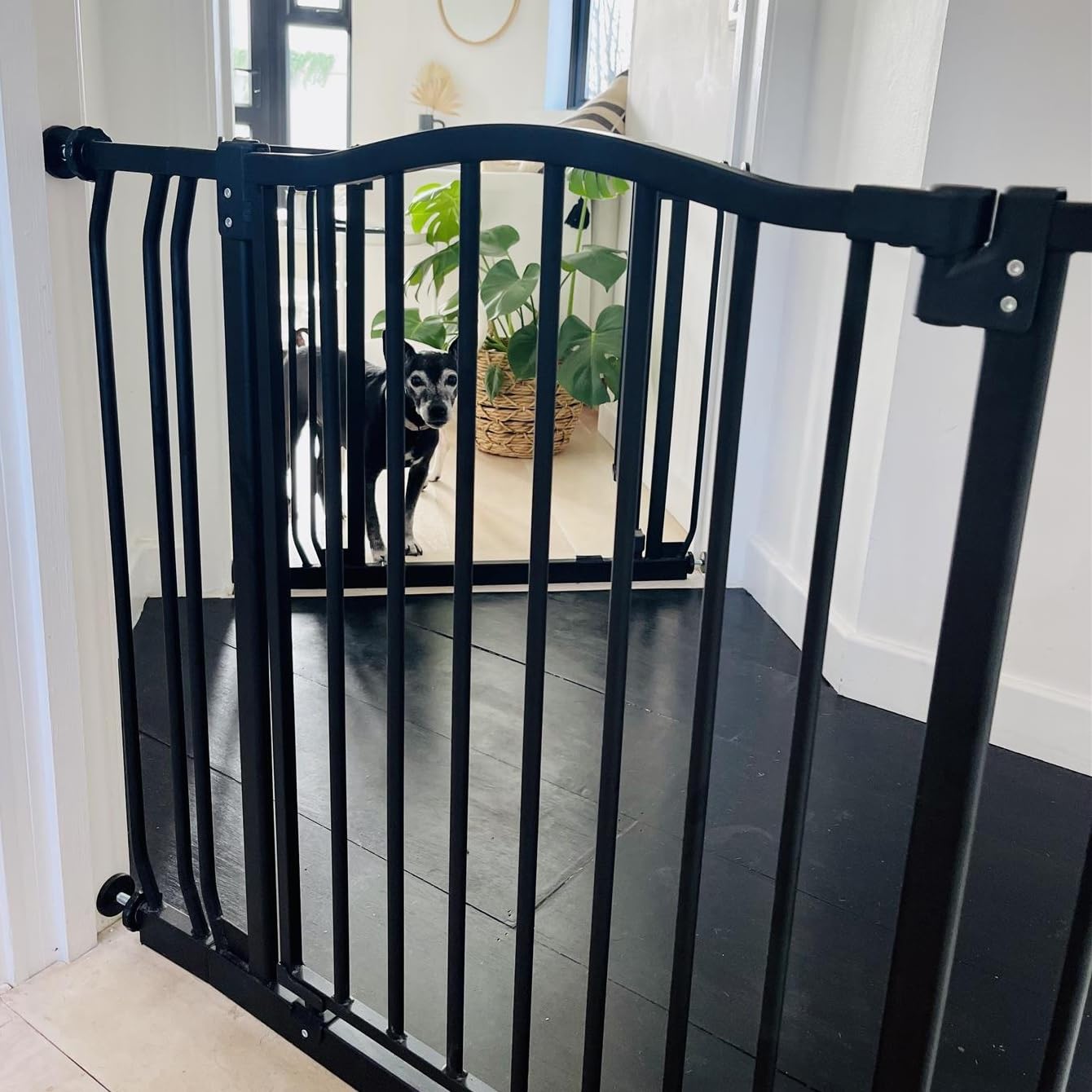Bettacare Curved Top Dog Gate, 161cm - 170cm, Matt Black, Pressure Fit Pet Gate for Puppy and Dog, Easy Installation — view 6