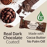 Vista 3 de NuGo Almendra de chocolate negro orgánico, 0.35 onzas de proteína vegana, sin gluten, 12