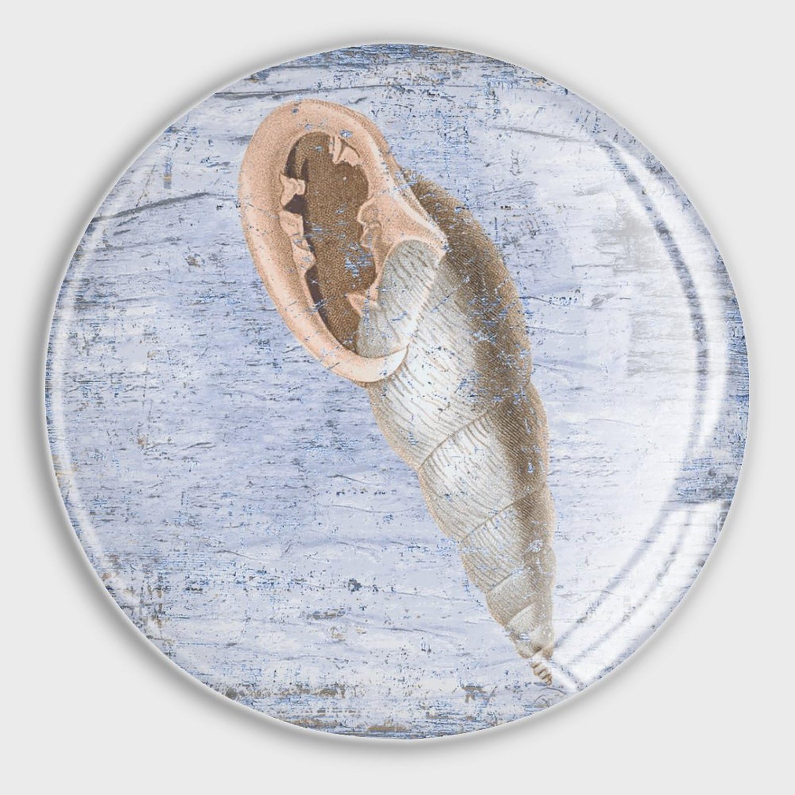 Aimants ronds en verre étoile de mer pour fixer vos notes sans glisser