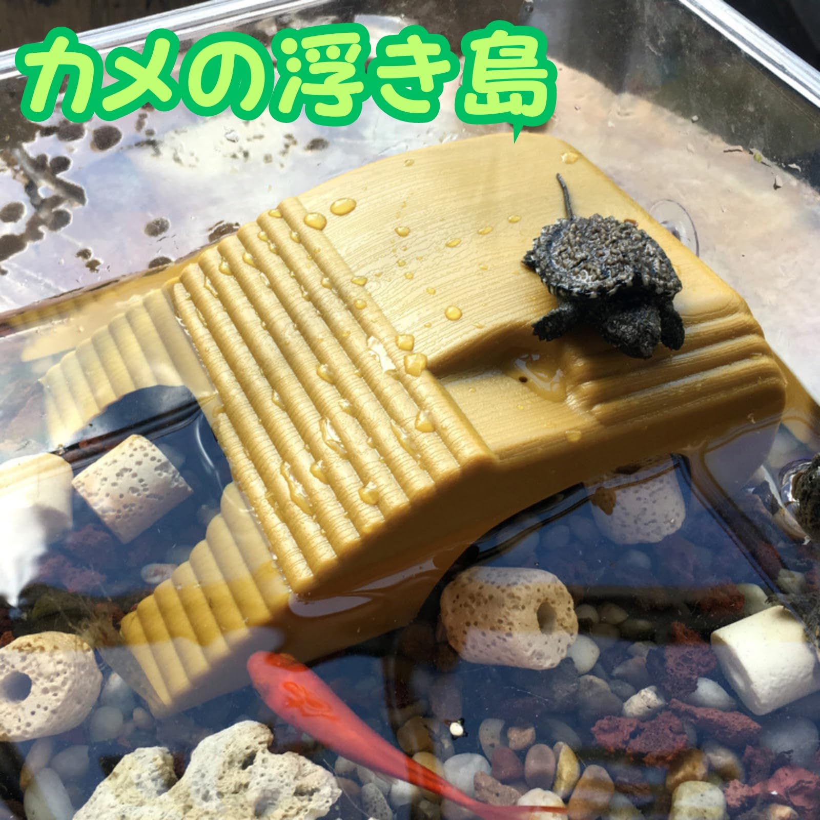 オパール 亀 置物 オパール 亀 置物 オパール 亀 置物 オパール 亀 置物 楽天市場