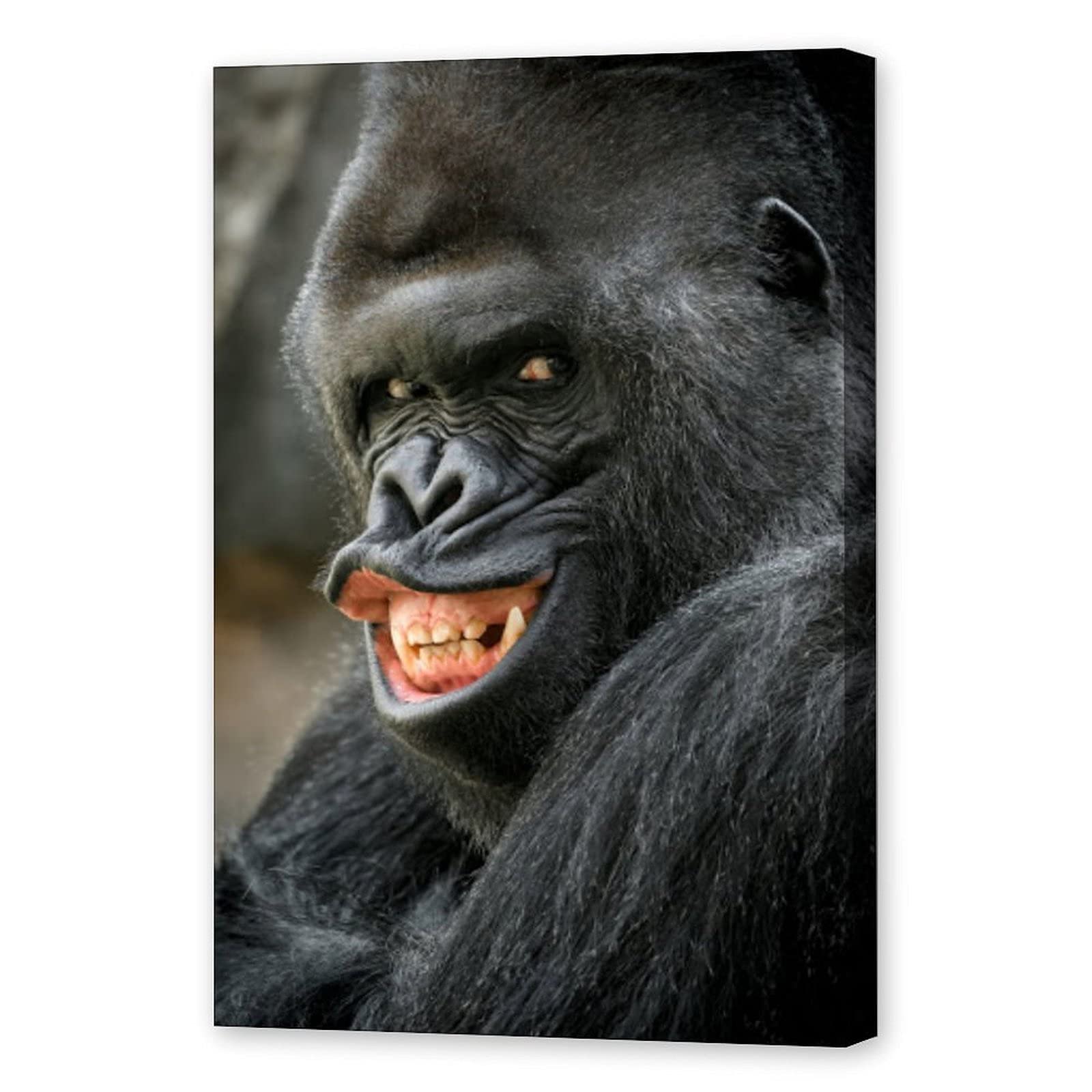 Funny Gorilla ubicaciondepersonas.cdmx.gob.mx