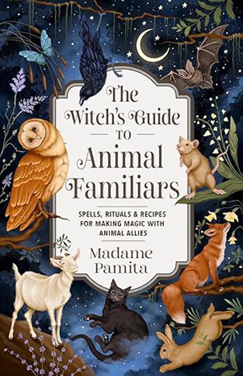 The Witchs Guide to Animal Familiars by Madame Pamita PAPERBACK 9781837822942