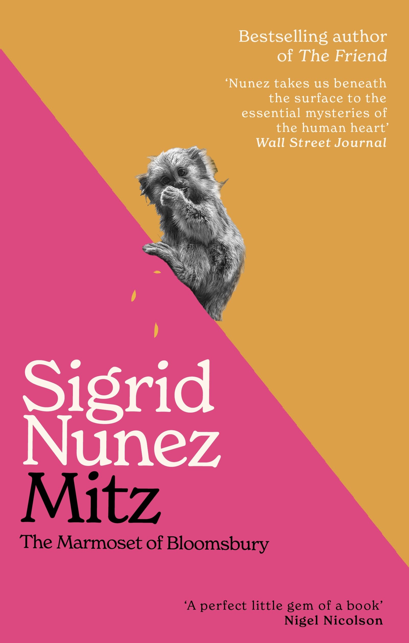 Mitz : The Marmoset of Bloomsbury - by the bestselling author of The Friend