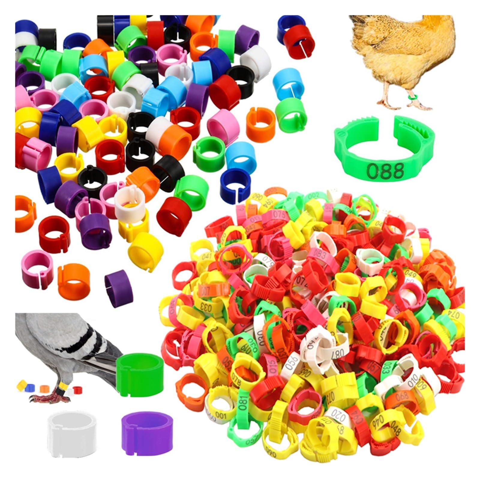 Taśmy identyfikacyjne z kurczakami, zawieszki dla drobiu, opakowanie 25/100 sztuk, plastikowe cyfrowe klamry do etykiet dla kur, kaczek, gęsi, identyfikacja zwierząt gospodarskich, artykuły rolnicze