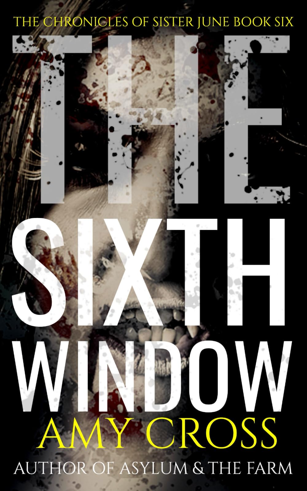 Cover of The Sixth Window