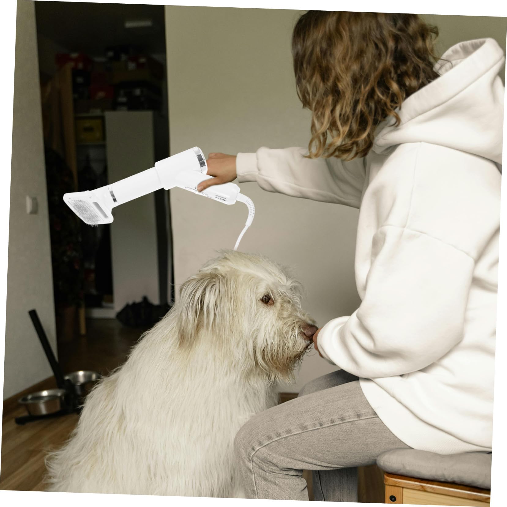 Secador de Pelo para Mascotas, Cepillo Peine Portátil Blanco | Perros y Gatos, Plástico Seguro, Desenredante, Adecuado para Dueños de Mascotas
