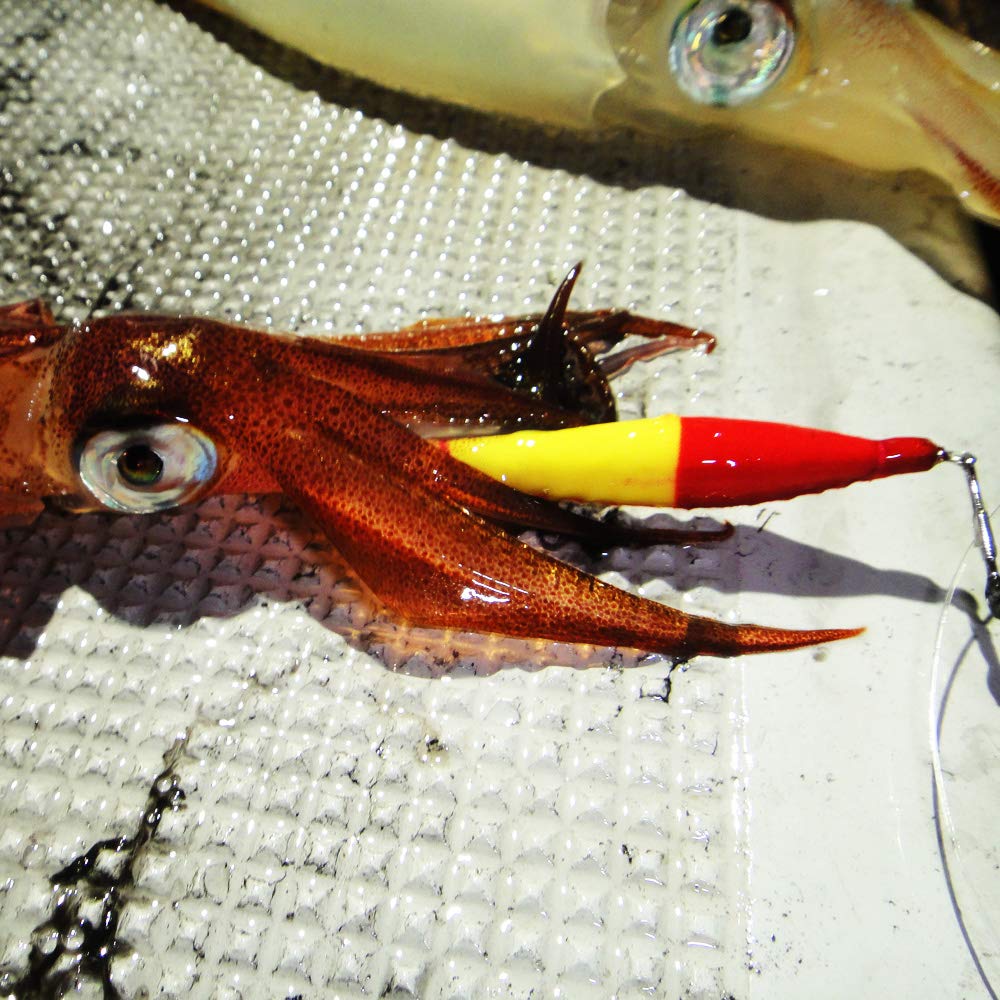 Amazon | キーストン 硬質発泡浮きスッテ・ケンサキSP 2.5号 二段針