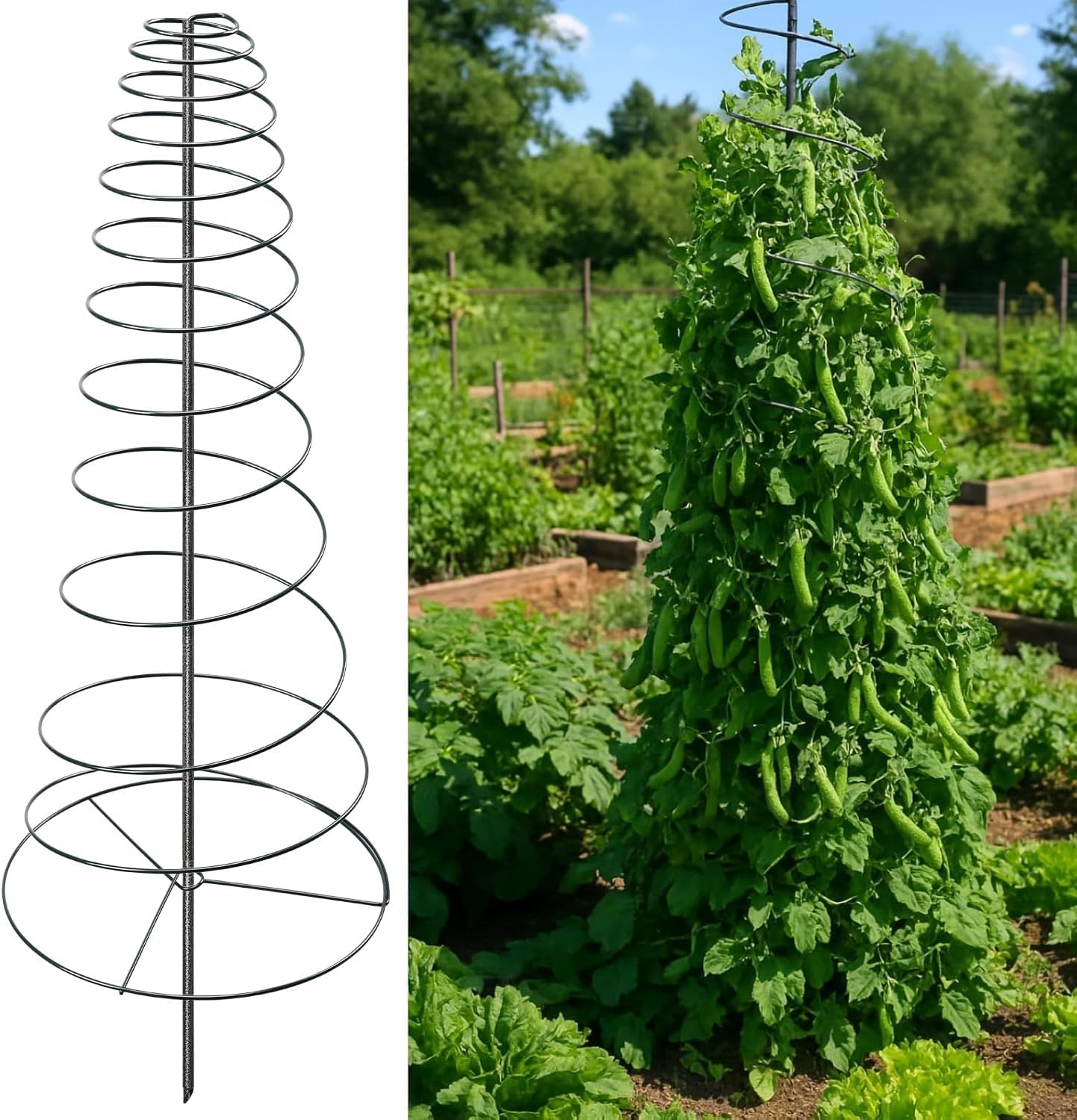 Treillis de jardin en métal rigide contre l'affaissement des plantes grimpantes 185cm