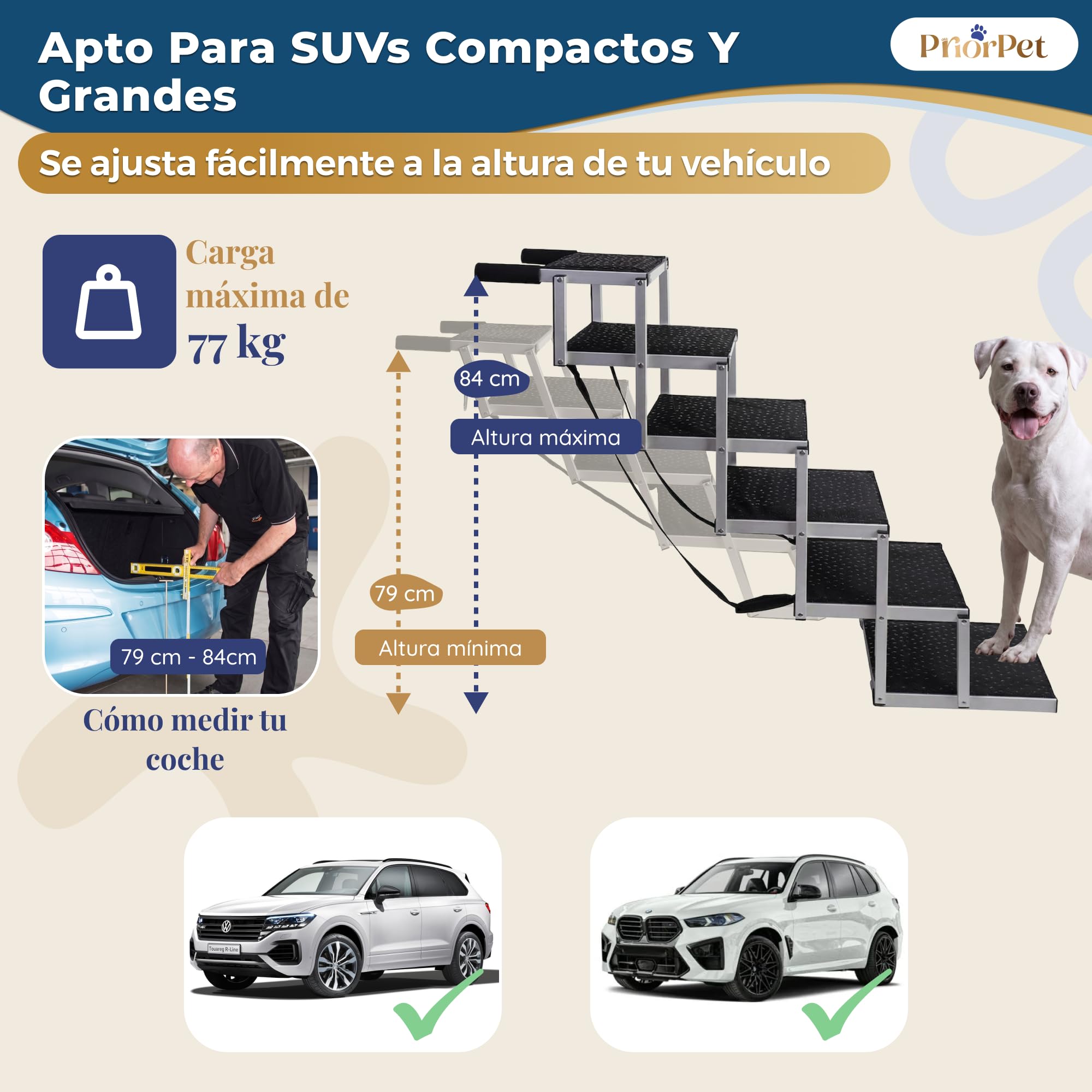 Escalera para Perros Coche Plegable – 4, 5 o 6 Peldaños para Maleteros Bajos y Altos (63–81 cm) – para Coches Pequeños, Familiares & SUV – Alternativa a Rampa para Perros