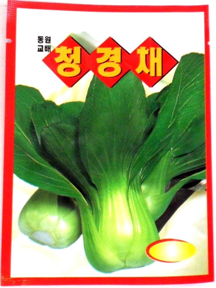 Bokchoy Seeds Korean 1pack