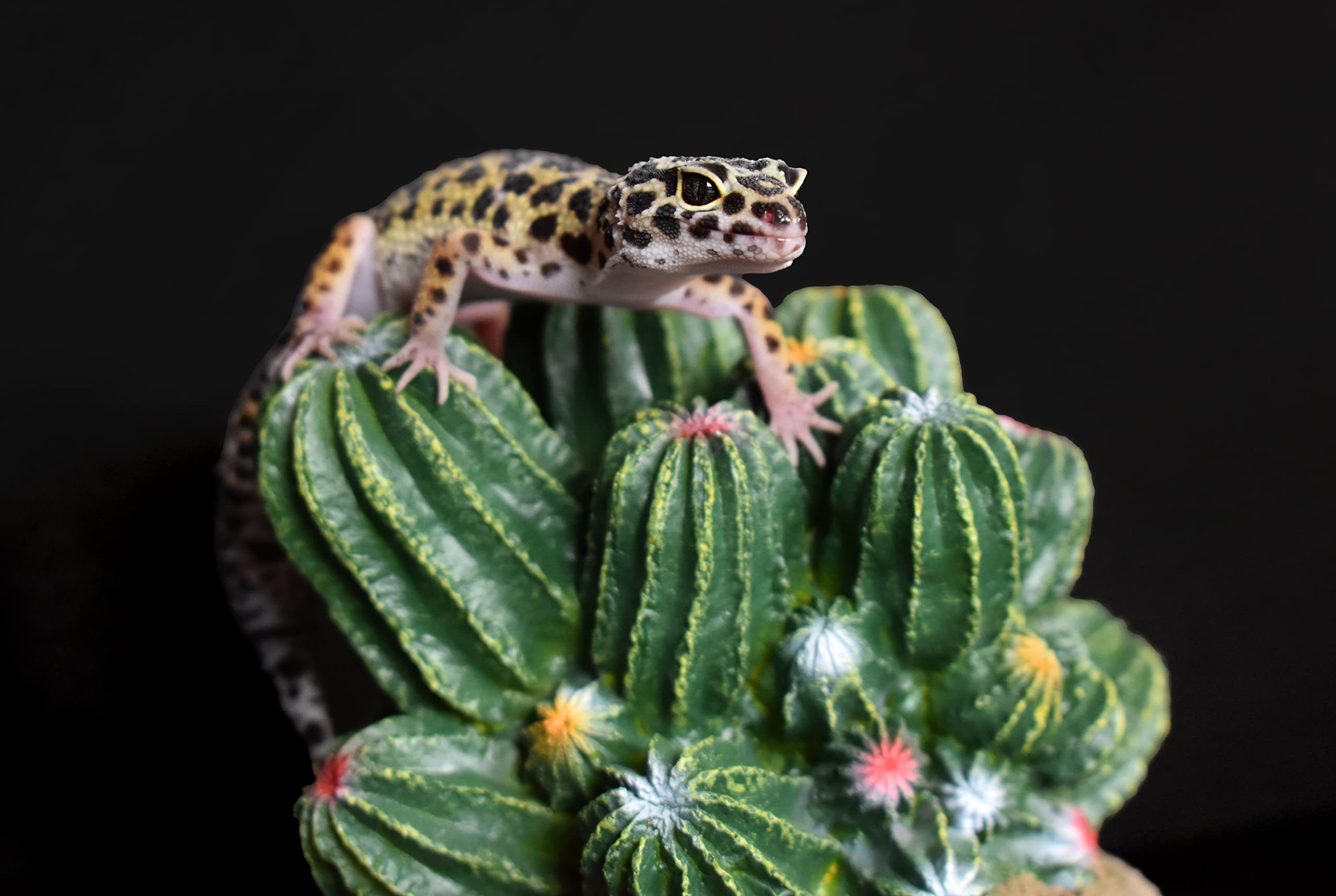Komodo Fass-Kaktus-Reptilien-Dekoration, natürlich aussehende künstliche Pflanze, Terrarium, Ornament und Lebensraum-Dekoration, leicht zu reinigen und zu pflegen, 10,2 cm hoch