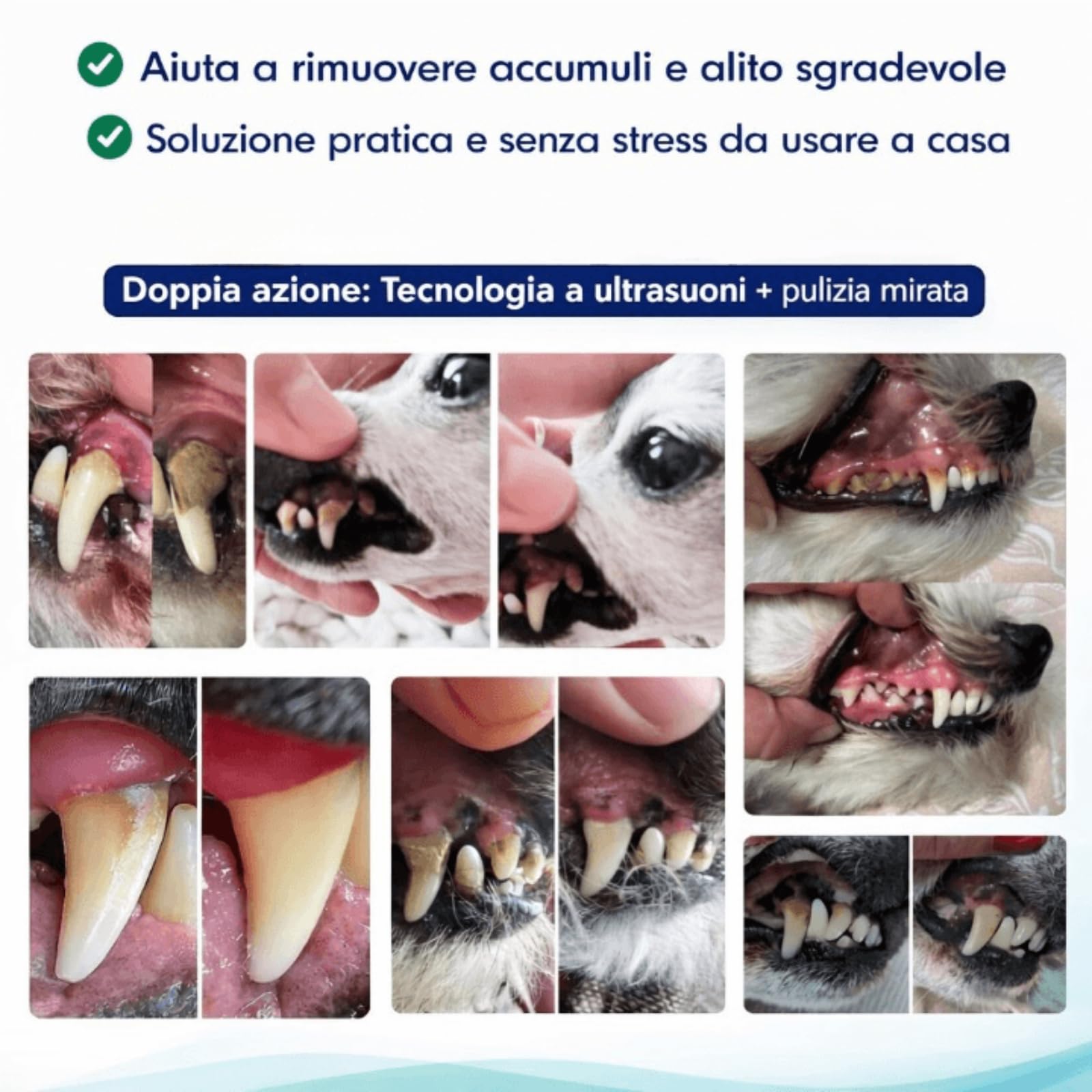 Zampadent Dispositivo Professionale Per La Pulizia Dentale Del Cane,Kit Pulizia Denti Elettrico 6 Modalità,IPX6,Ricaricabile USB Type-C,Rimuovi Tartaro e Placca Dentale
