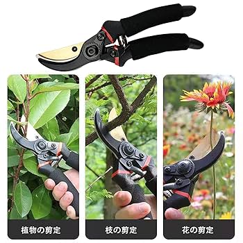 Amazon | 堅塁金物 剪定鋏 植木ハサミ 小さい 枝切り 軽量