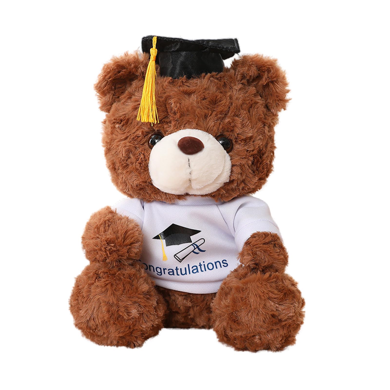 Alaiyaky Graduation Bear, Stuffed Animal, Classic Graduation Gift, Congratulations Bear, Type F
