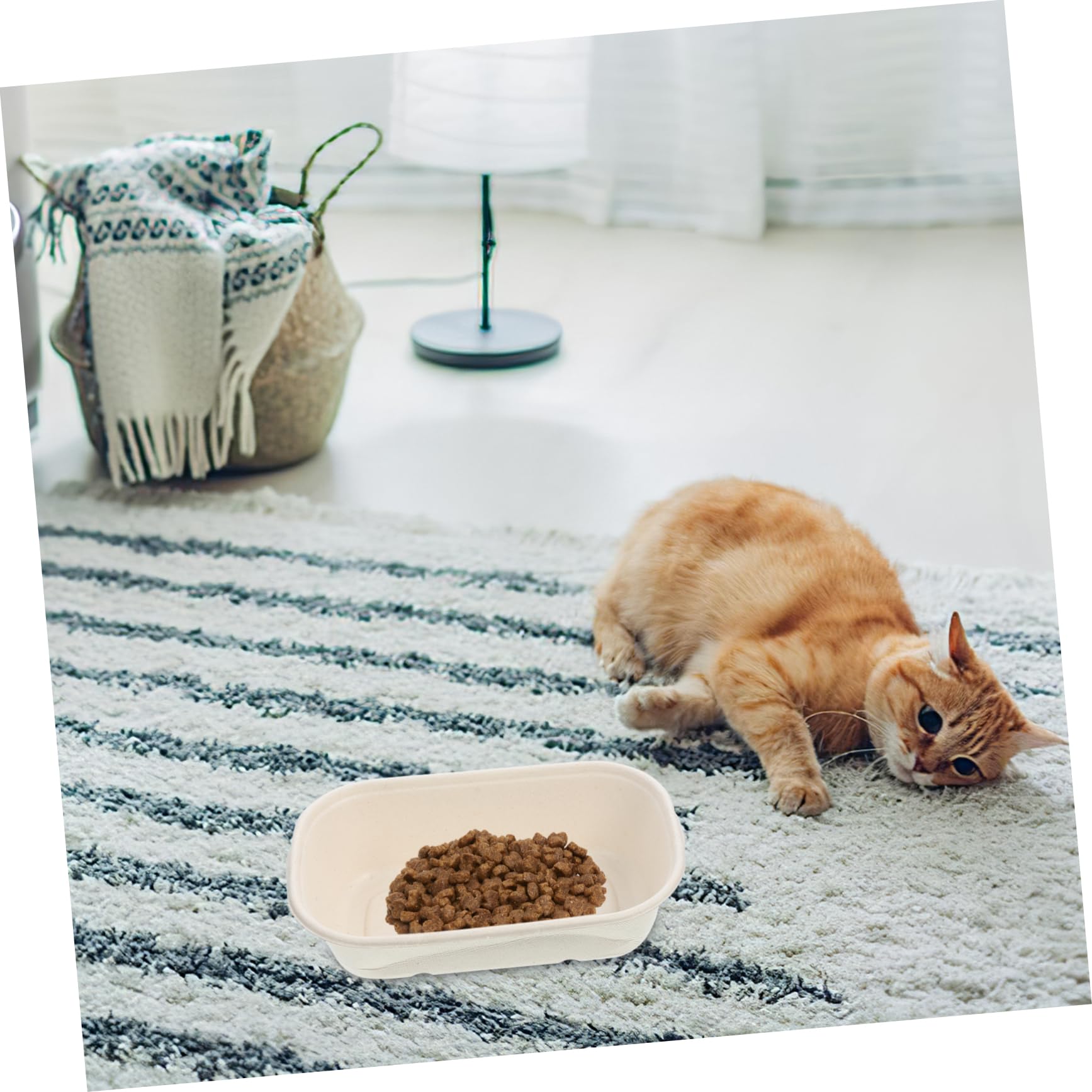 BESPORTBLE Practical Cat Bowls Disposable Cat Bowl Kitten Food Bowl for Outdoor Indoor