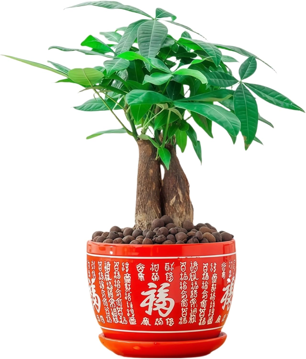 Outdoor Plants Flower Pots: Indoor Planters with Drainage and Tray, Ceramic Pots for Plants, Creative Lucky Red Ceramic Orchid African Violet Lotus Flower Money Succulent Pot, 6 Inch Plant Pot