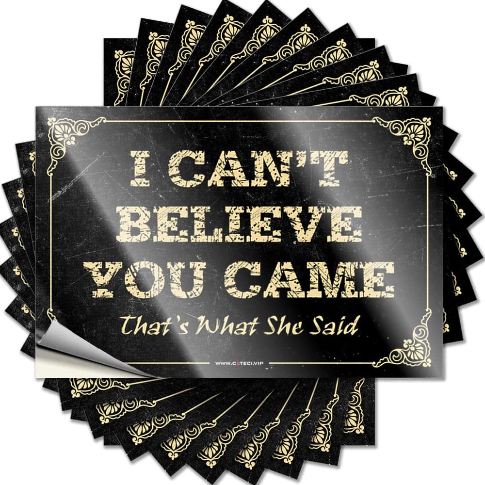 Funny Decal Aesthetic Decals, Outside Decor Cute Pattern Design for Exterior Notebook | Helmet Removable Vinyl I Can't Believe You Came That's What She Said(6X9CM)