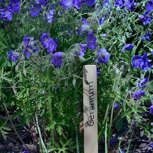 Miniatura 5 de Henry Bukke's Best Birch Paint Sticks, paquete de 50, 14 pulgadas, limpio y suave para proyectos de automoción, industrial, belleza, arte y