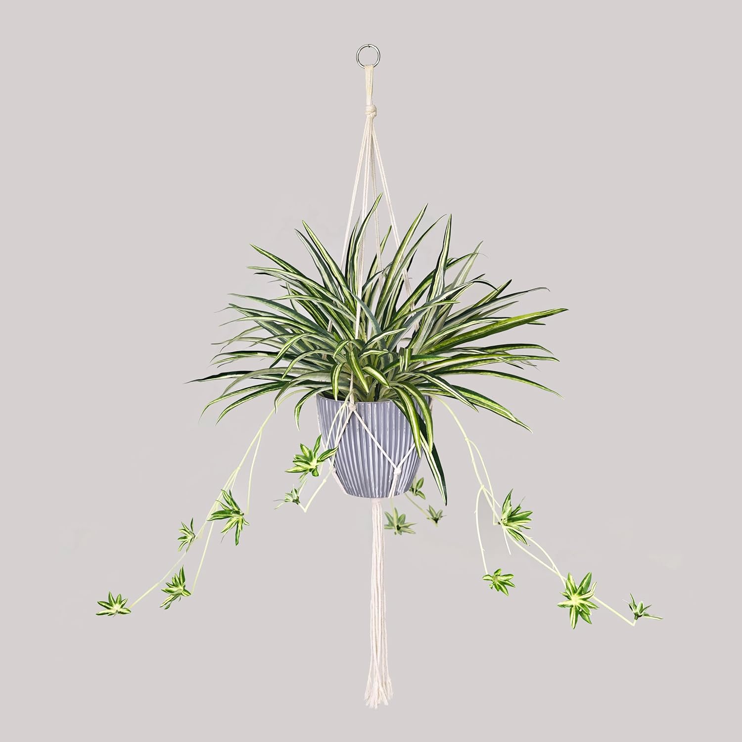 365 Blooming Decor Hanging Artificial Spider Plant – 37.4" Faux Greenery with Macramé Knotted Rope Boho Style Hanger, Ribbed Textured Pot, Real Pebbles, Fade-Resistant Patio, Balcony, Home Decor