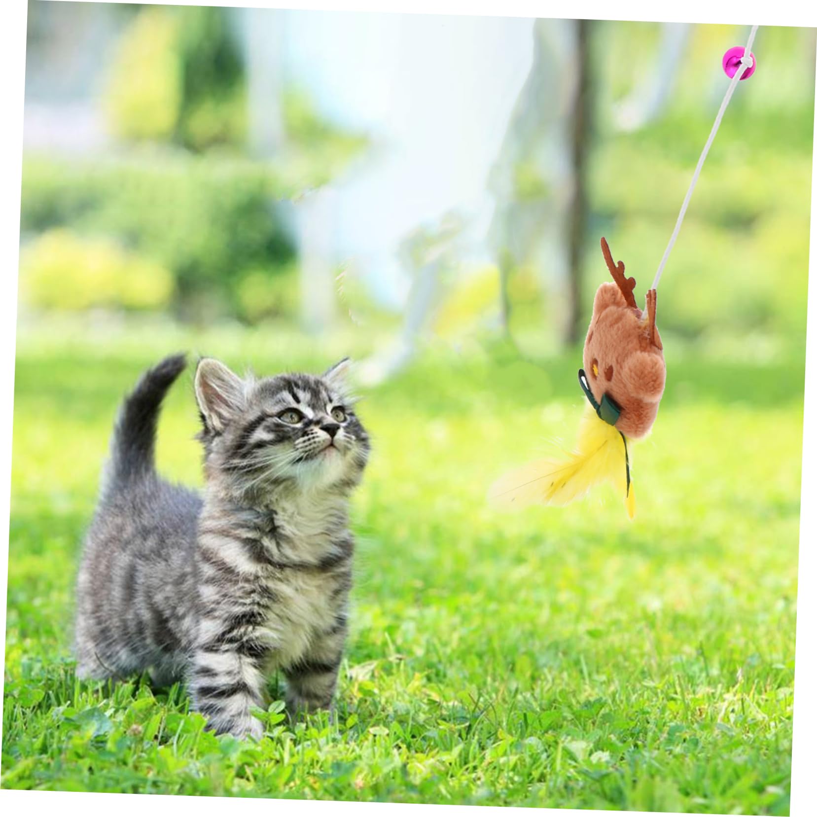 VANZACK 15pièces Jouets à Clochettes pour Chats De Teasing Interactive Accessoires De Jeu pour Chats Intérieur