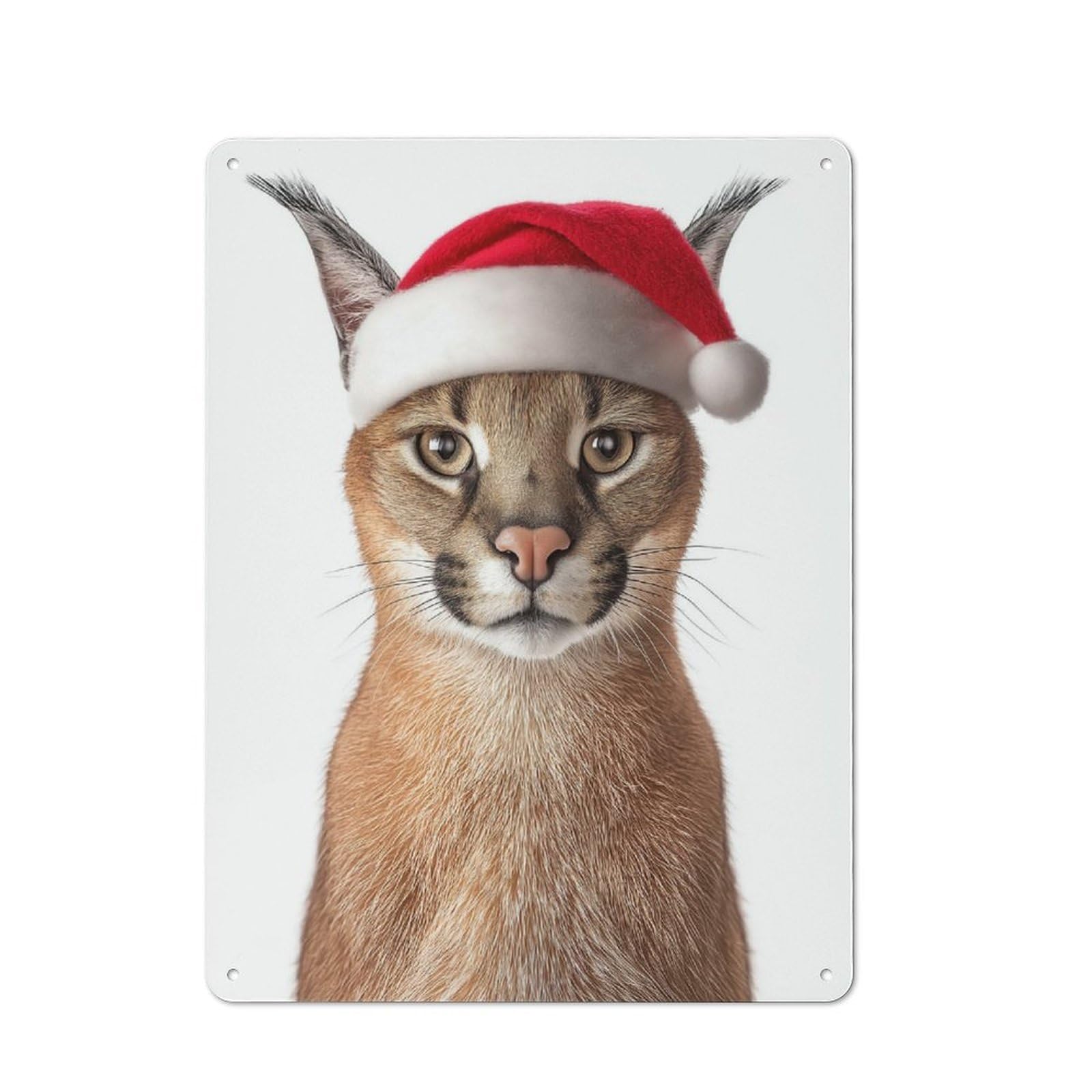 Junmoney Christmas Caracal Cat With Santa Hat Tin Wall Plaque 40X30cm With For Home Office Or Studio, Gift Idea At Christmas For Creative Workspace Decorators