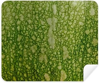Green Pumpkin Peel Macro Photo Patterns Cleaning Cloth Screen Cleaner 2pcs Suede Fabric