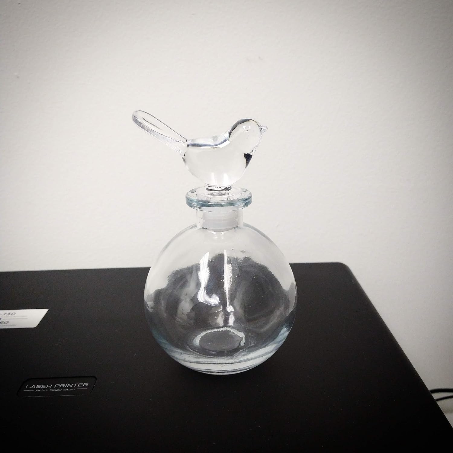 Nakpunar Spherical Glass Bottles with Cork Closure (1 pcs, 8.5 oz Clear w/Bird Stopper)